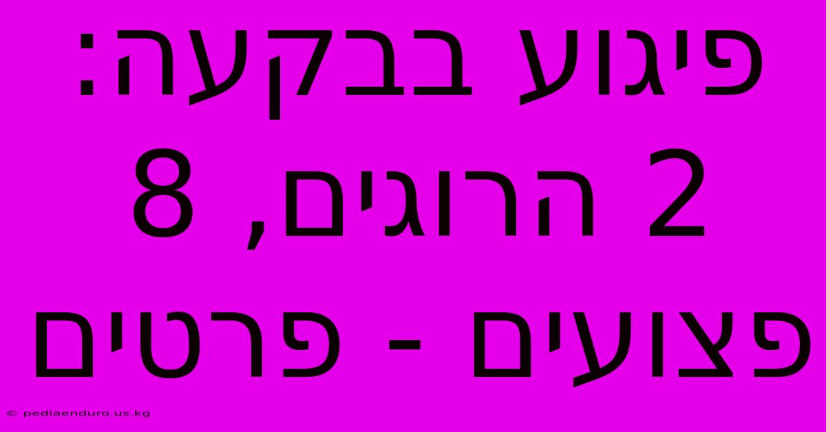 פיגוע בבקעה: 2 הרוגים, 8 פצועים - פרטים