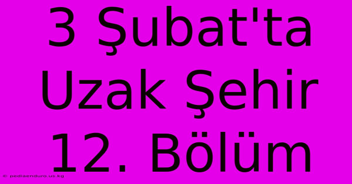 3 Şubat'ta Uzak Şehir 12. Bölüm