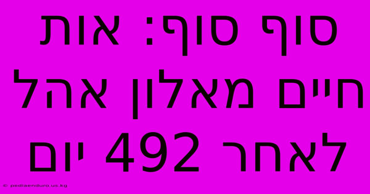 סוף סוף: אות חיים מאלון אהל לאחר 492 יום