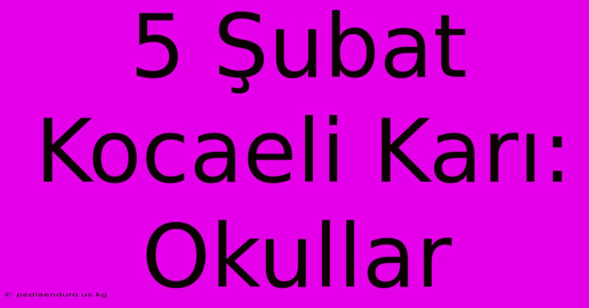 5 Şubat Kocaeli Karı: Okullar