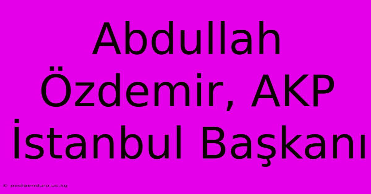 Abdullah Özdemir, AKP İstanbul Başkanı