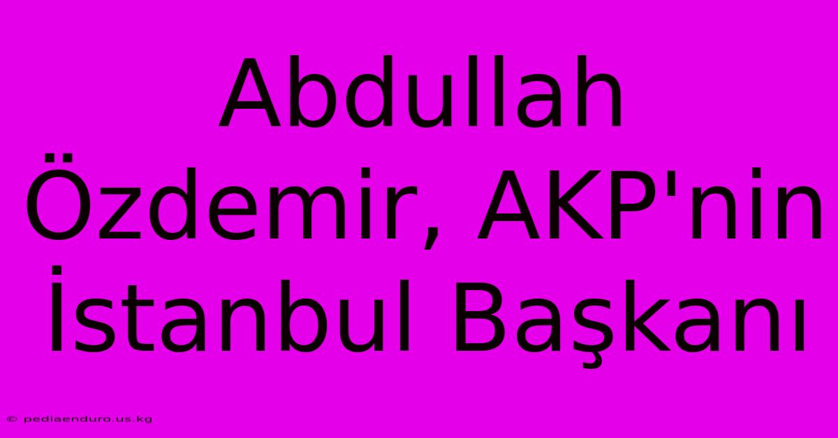 Abdullah Özdemir, AKP'nin İstanbul Başkanı