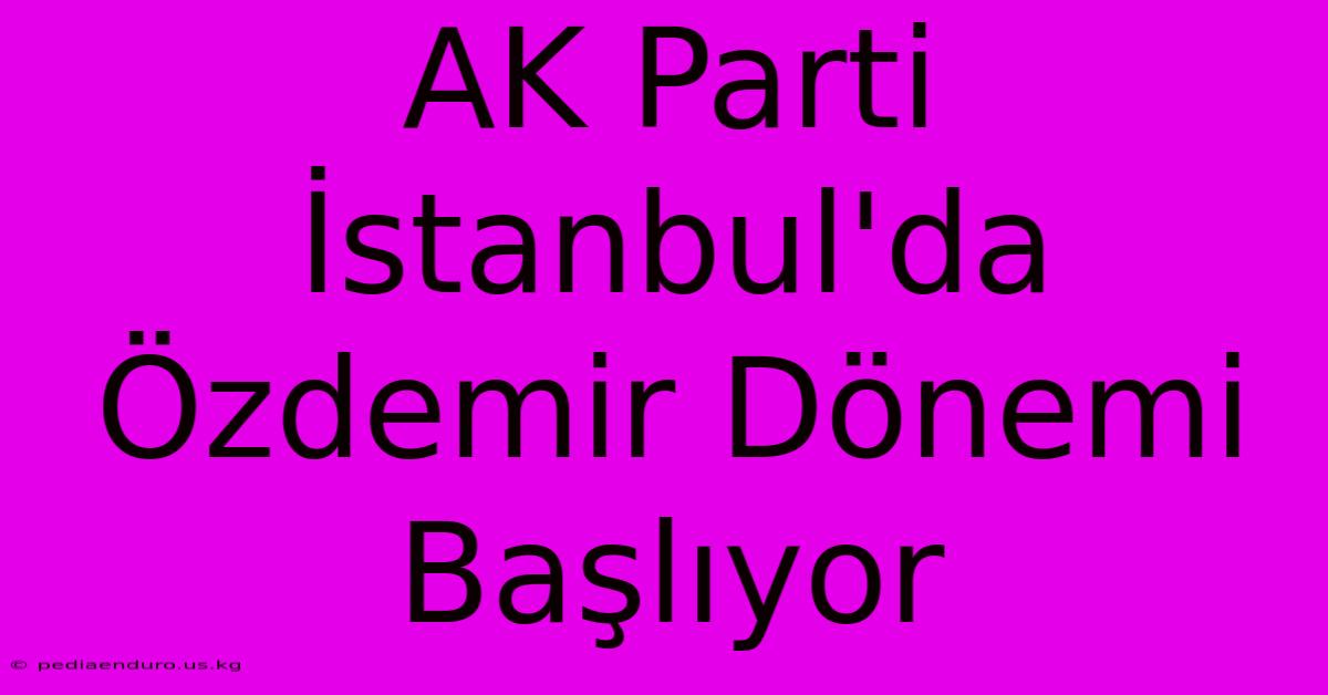 AK Parti İstanbul'da Özdemir Dönemi Başlıyor