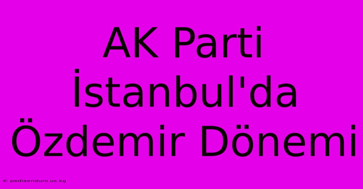 AK Parti İstanbul'da Özdemir Dönemi