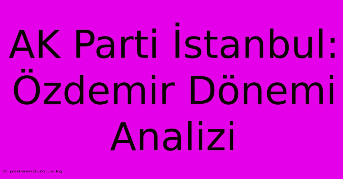 AK Parti İstanbul: Özdemir Dönemi Analizi