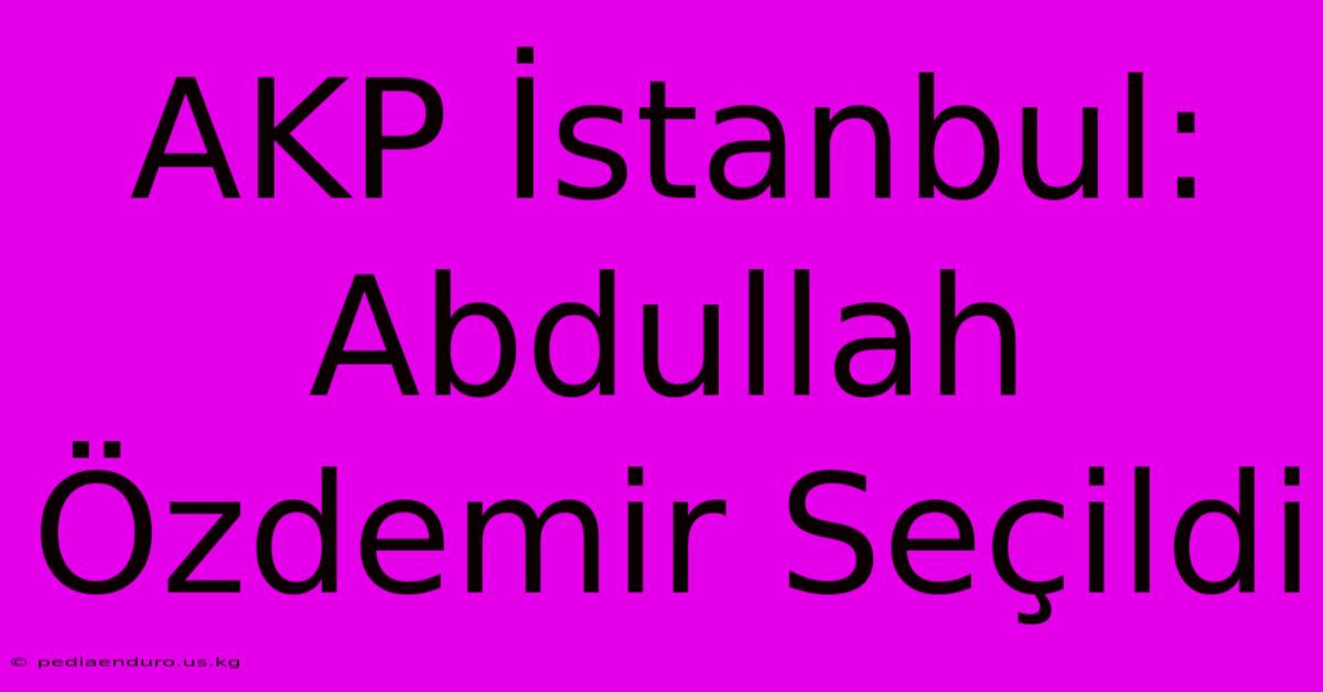 AKP İstanbul: Abdullah Özdemir Seçildi