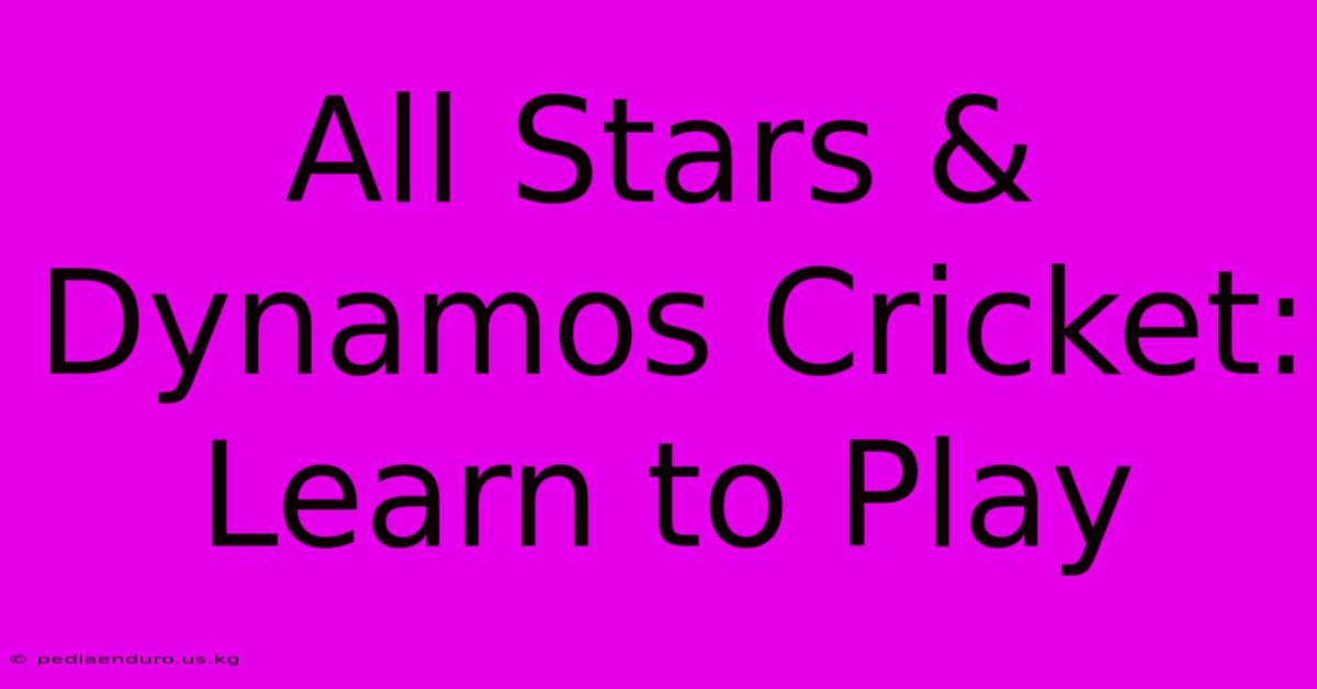 All Stars & Dynamos Cricket: Learn To Play