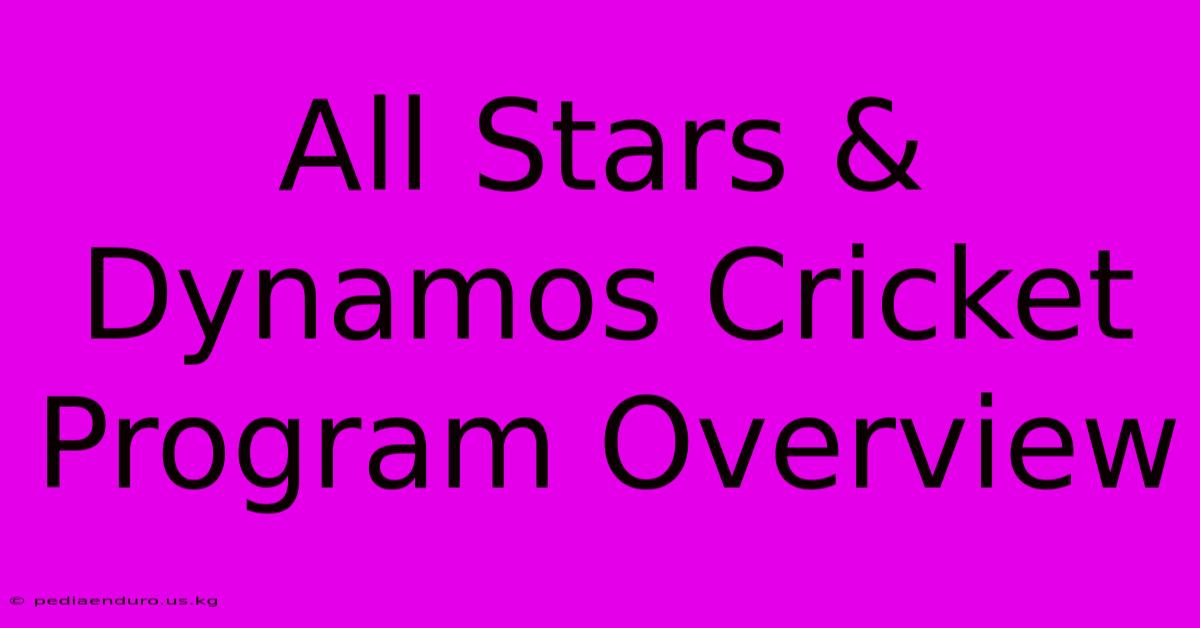 All Stars & Dynamos Cricket Program Overview