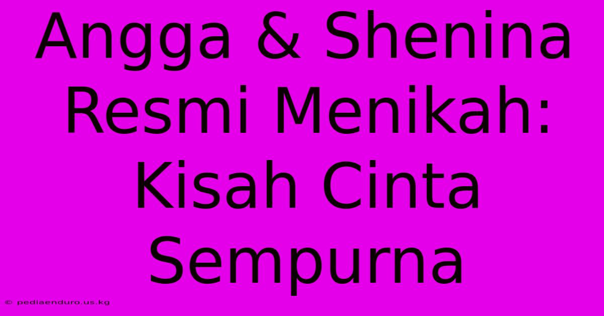 Angga & Shenina Resmi Menikah: Kisah Cinta Sempurna