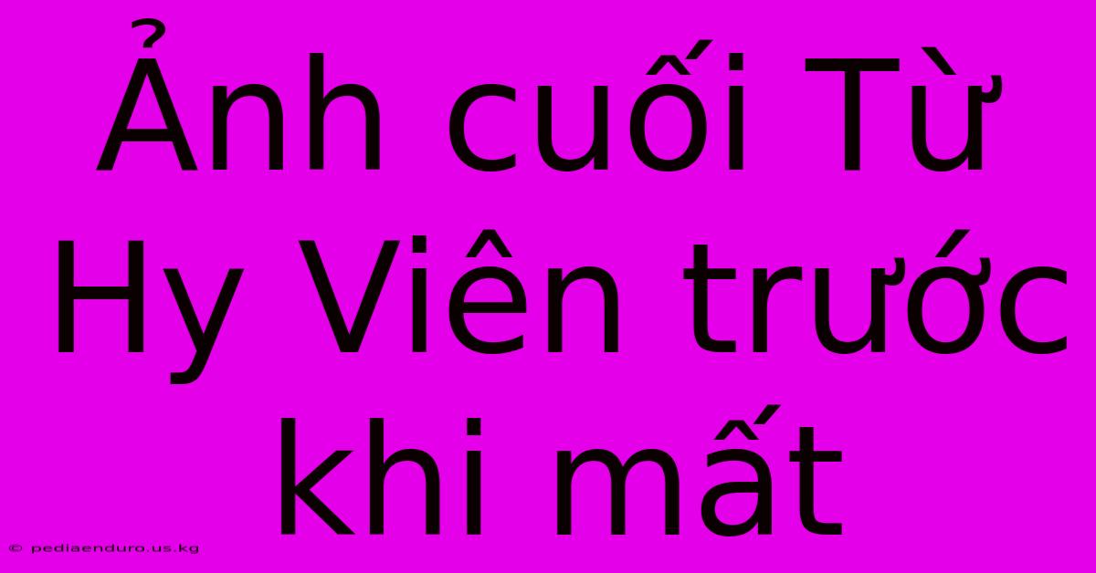 Ảnh Cuối Từ Hy Viên Trước Khi Mất