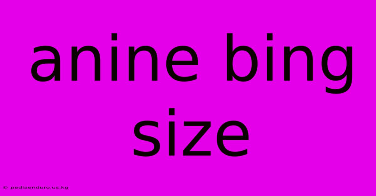 Anine Bing Size