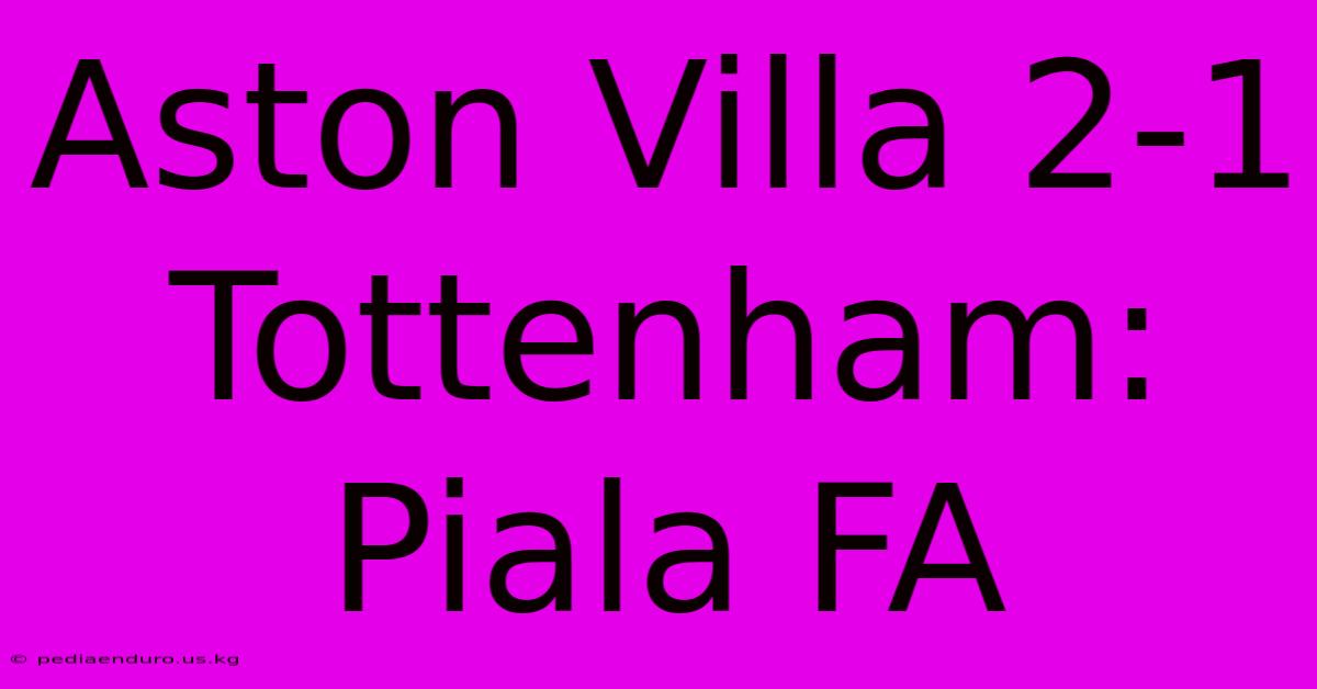 Aston Villa 2-1 Tottenham: Piala FA