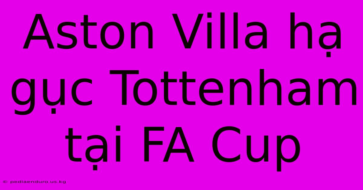 Aston Villa Hạ Gục Tottenham Tại FA Cup