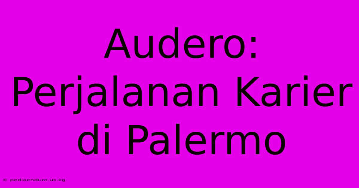 Audero: Perjalanan Karier Di Palermo