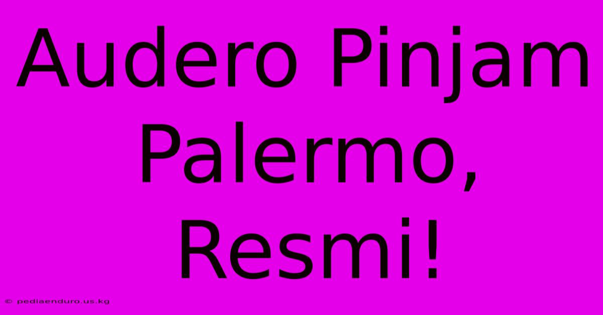 Audero Pinjam Palermo, Resmi!