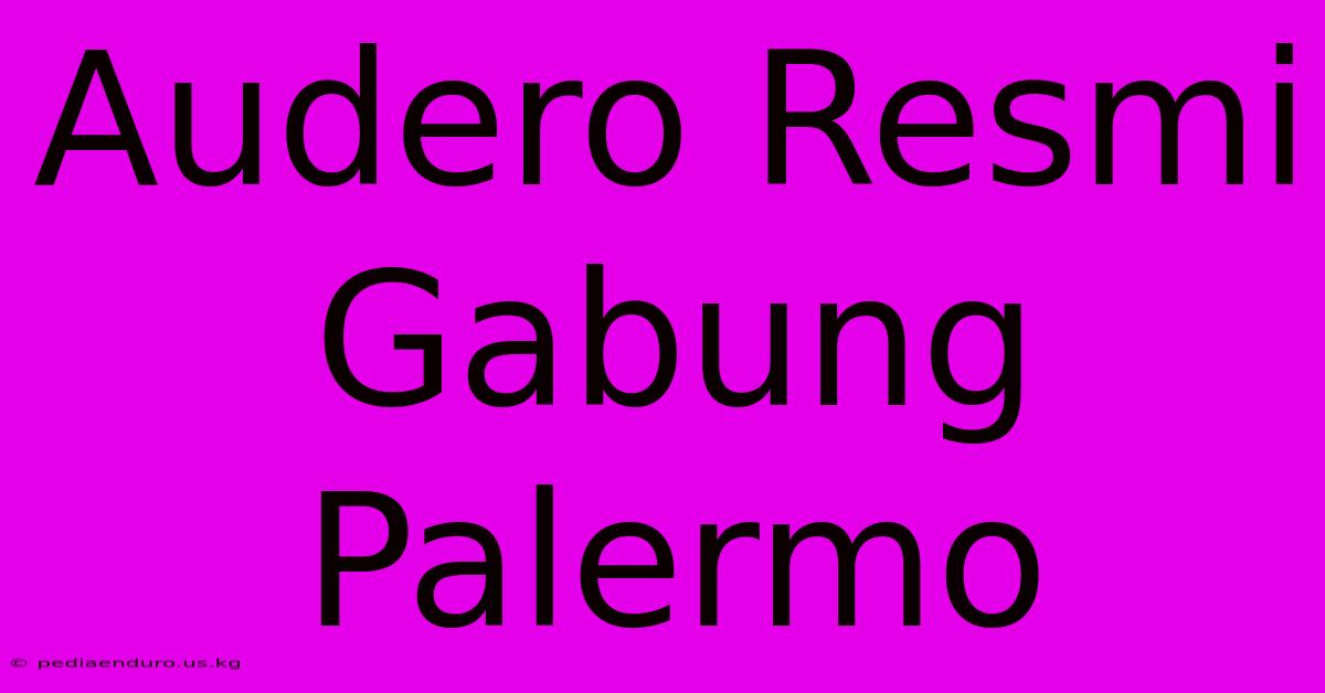 Audero Resmi Gabung Palermo