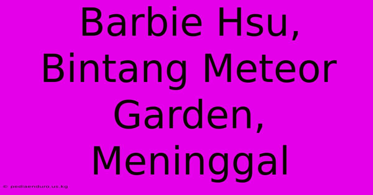 Barbie Hsu, Bintang Meteor Garden, Meninggal