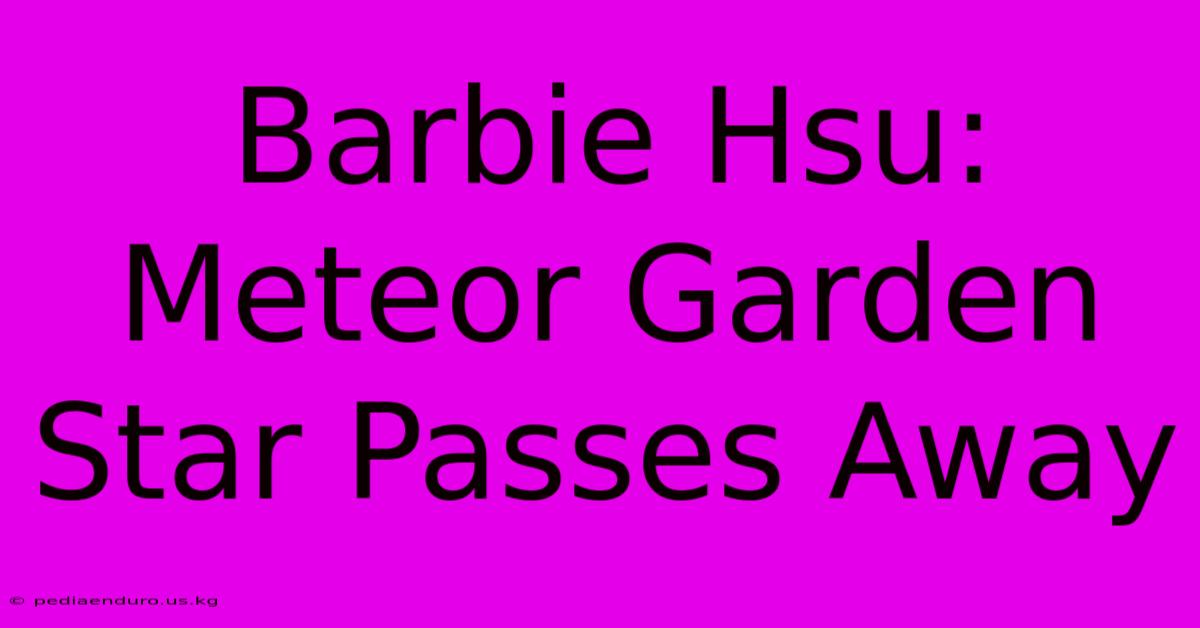 Barbie Hsu: Meteor Garden Star Passes Away