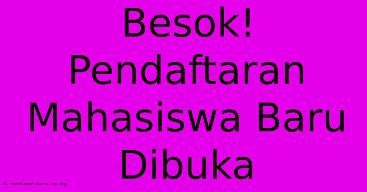 Besok! Pendaftaran Mahasiswa Baru Dibuka