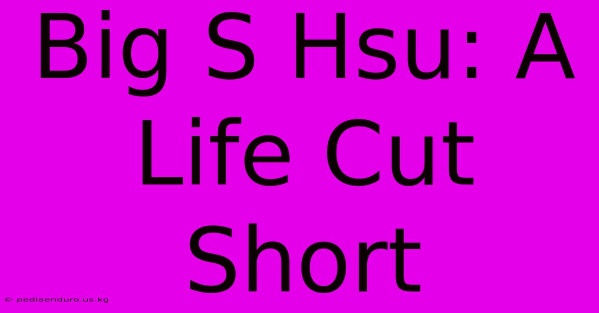 Big S Hsu: A Life Cut Short