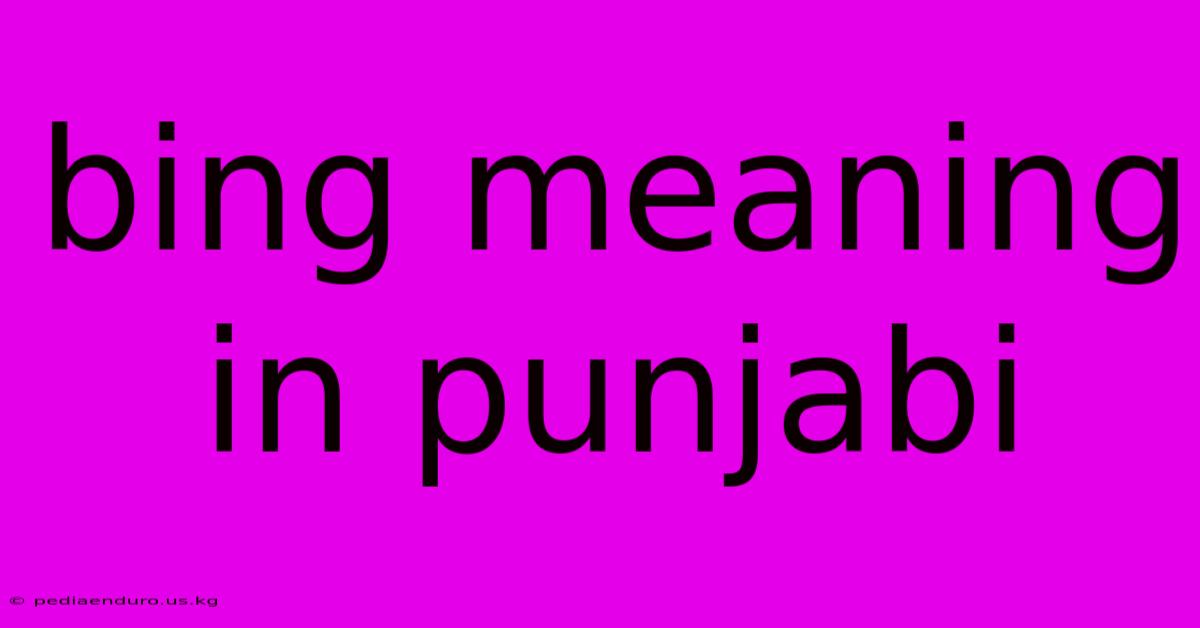 Bing Meaning In Punjabi