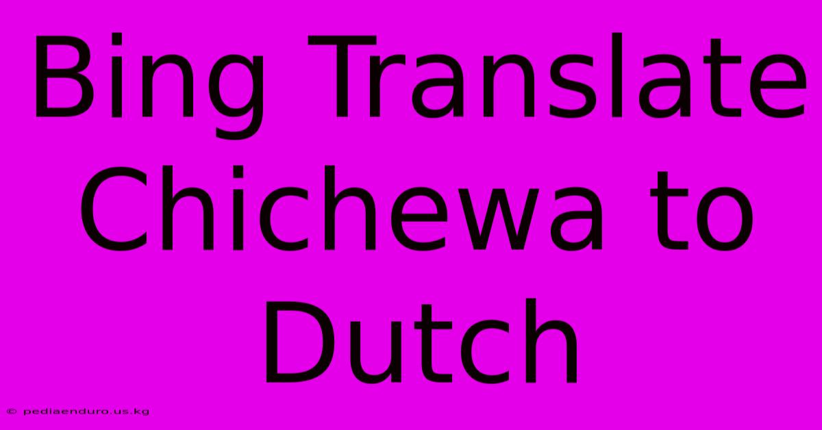 Bing Translate Chichewa To Dutch