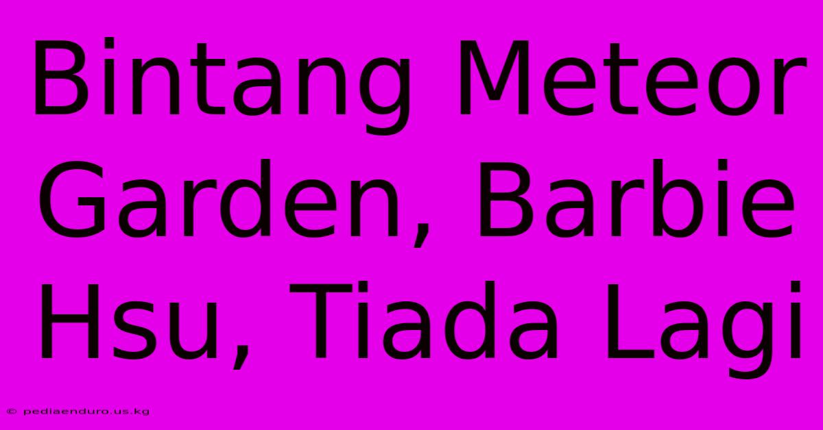 Bintang Meteor Garden, Barbie Hsu, Tiada Lagi