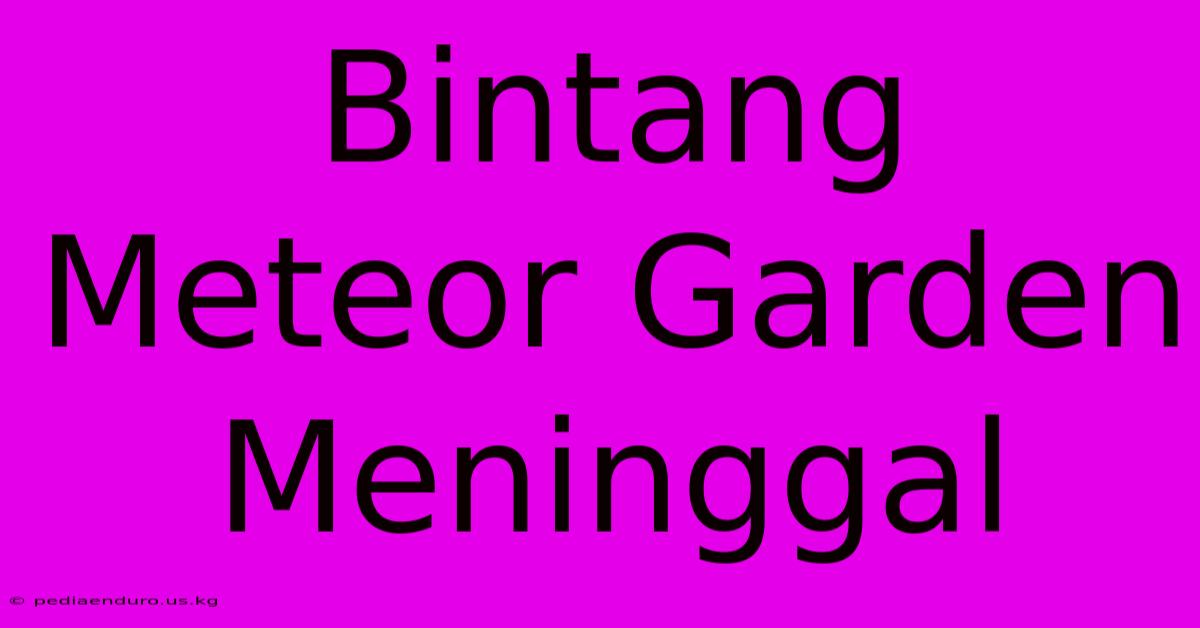 Bintang Meteor Garden Meninggal