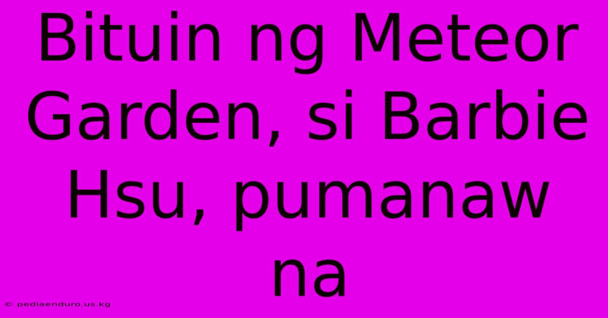 Bituin Ng Meteor Garden, Si Barbie Hsu, Pumanaw Na