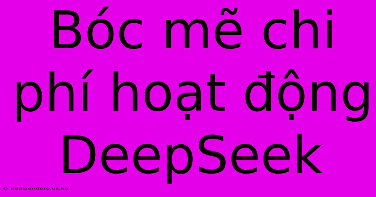 Bóc Mẽ Chi Phí Hoạt Động DeepSeek