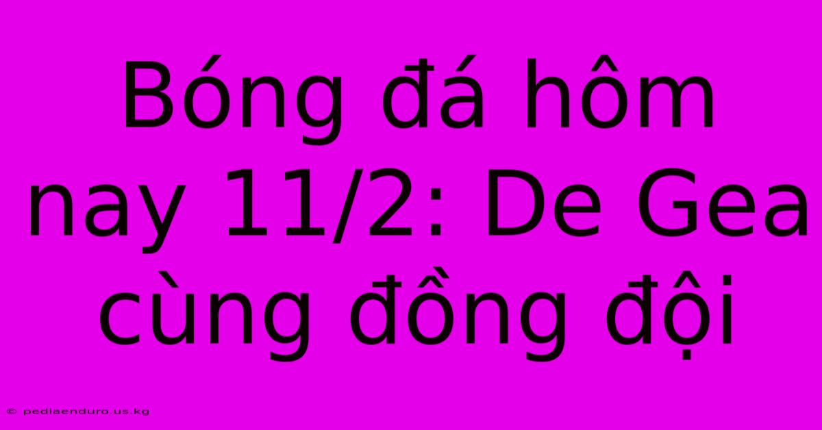 Bóng Đá Hôm Nay 11/2: De Gea Cùng Đồng Đội