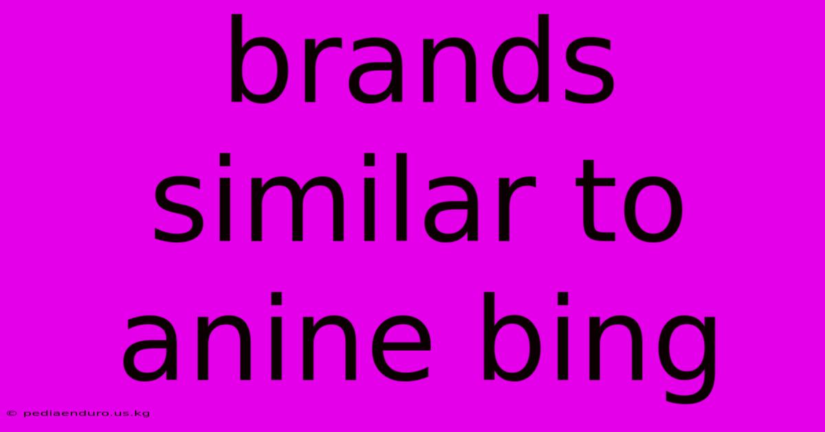 Brands Similar To Anine Bing