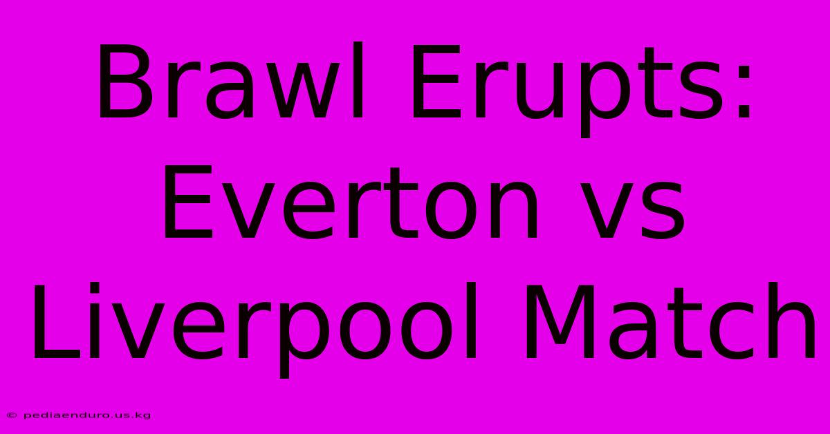 Brawl Erupts: Everton Vs Liverpool Match