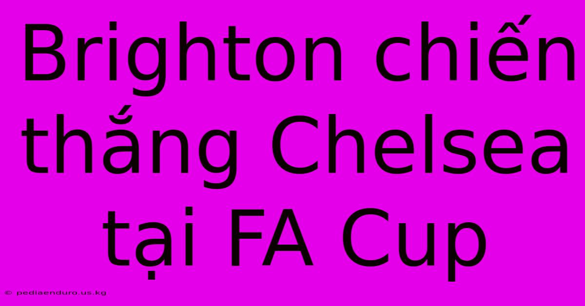 Brighton Chiến Thắng Chelsea Tại FA Cup