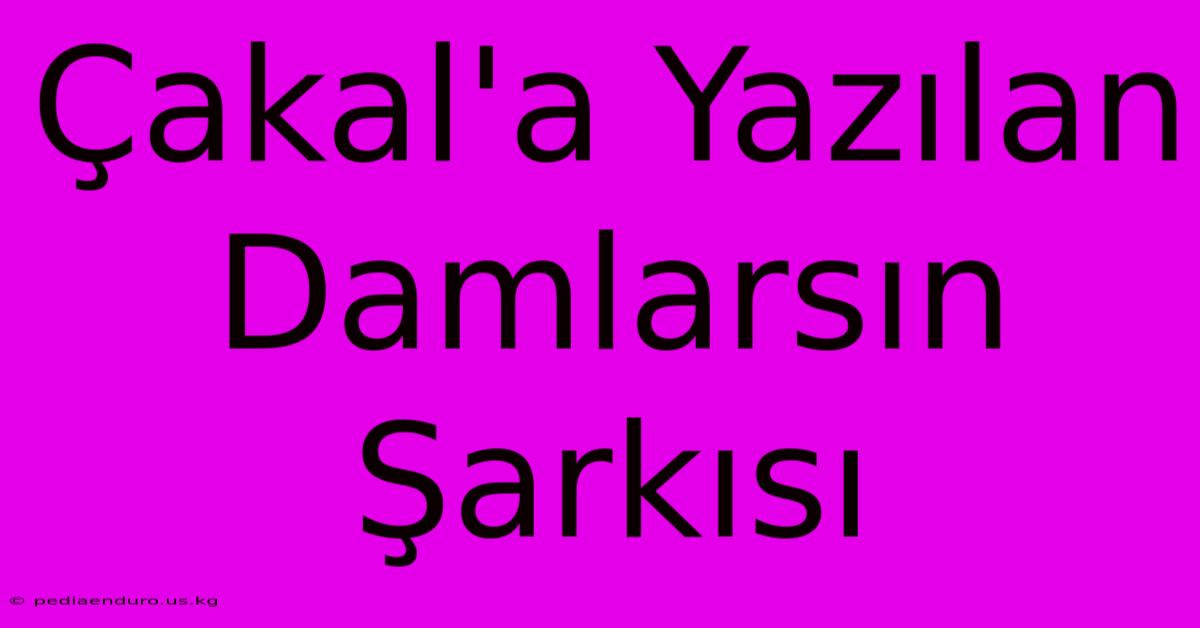 Çakal'a Yazılan Damlarsın Şarkısı