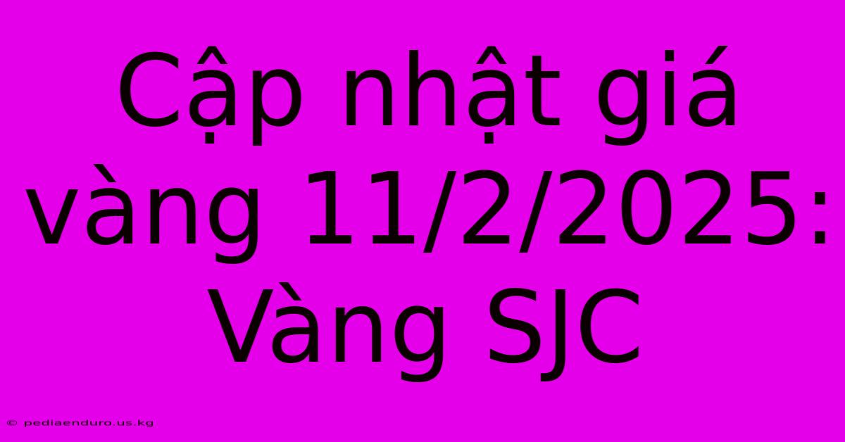 Cập Nhật Giá Vàng 11/2/2025: Vàng SJC