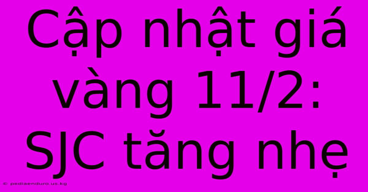 Cập Nhật Giá Vàng 11/2: SJC Tăng Nhẹ