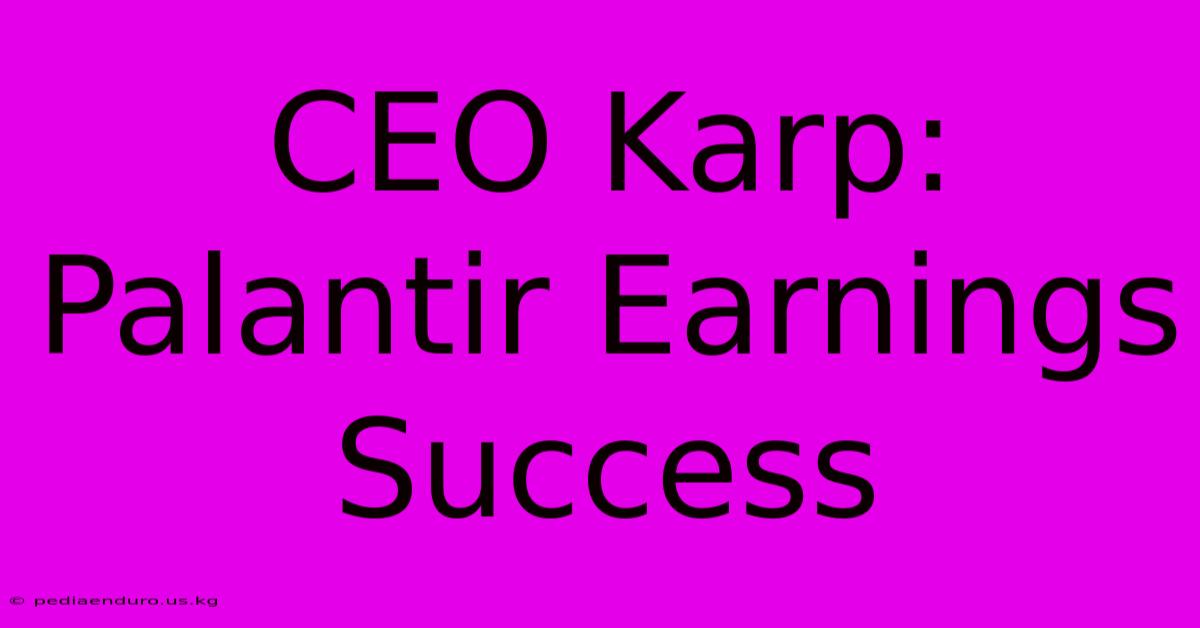 CEO Karp: Palantir Earnings Success