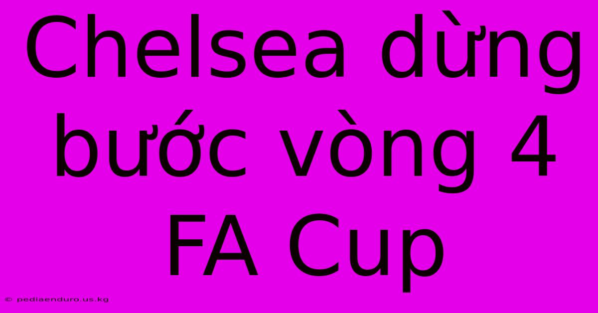 Chelsea Dừng Bước Vòng 4 FA Cup