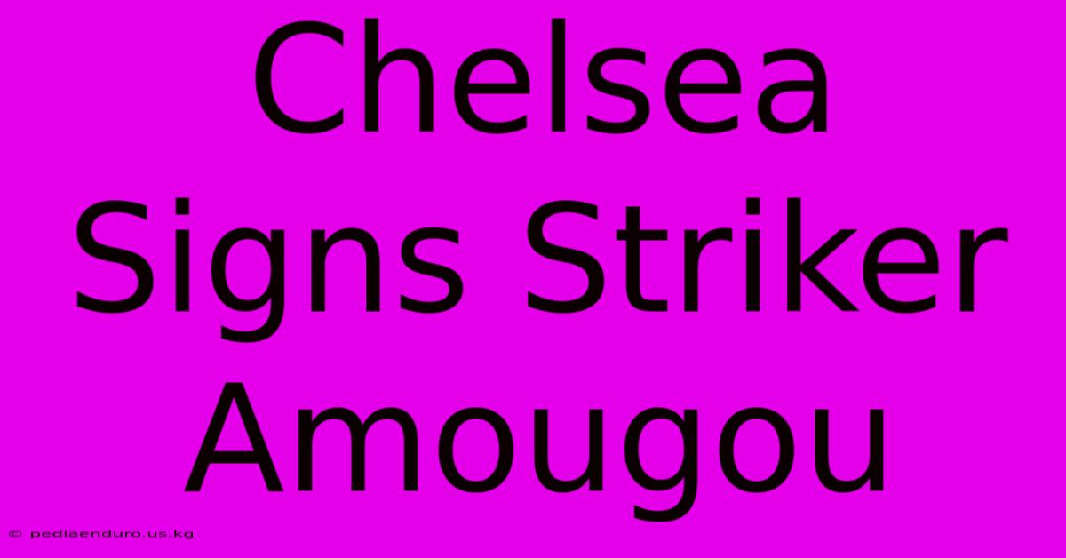 Chelsea Signs Striker Amougou