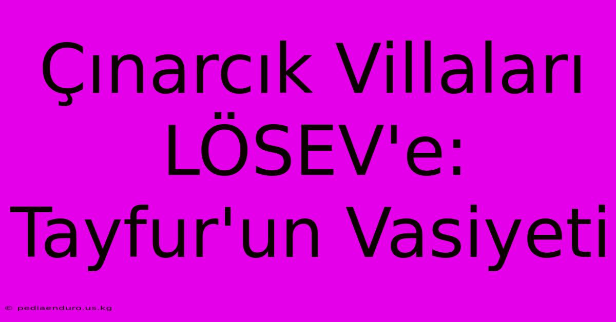 Çınarcık Villaları LÖSEV'e: Tayfur'un Vasiyeti