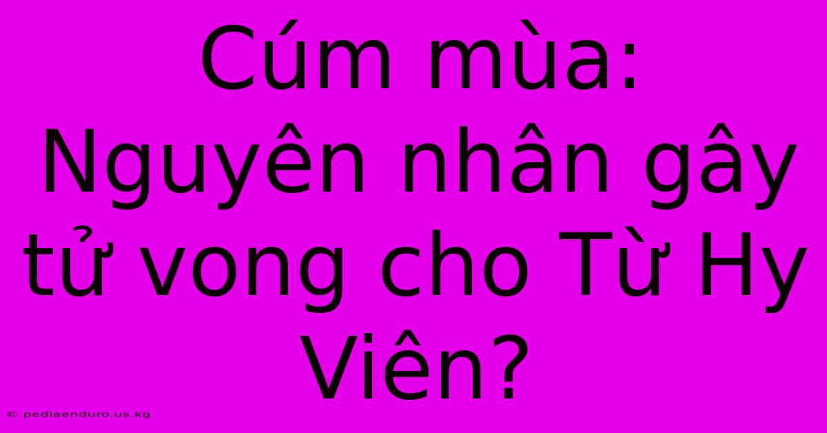 Cúm Mùa: Nguyên Nhân Gây Tử Vong Cho Từ Hy Viên?