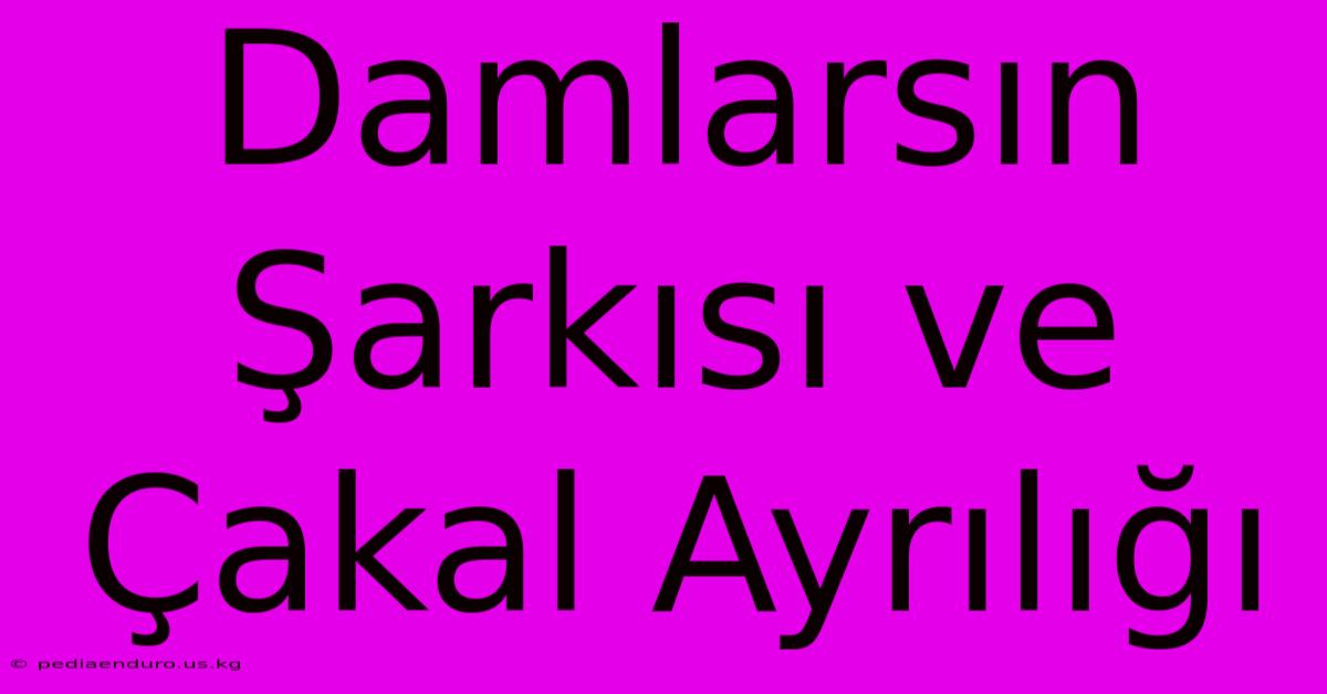 Damlarsın Şarkısı Ve Çakal Ayrılığı