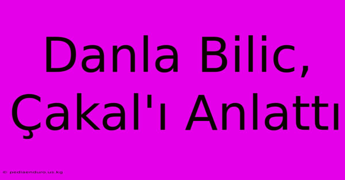 Danla Bilic, Çakal'ı Anlattı