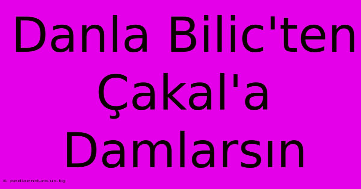 Danla Bilic'ten Çakal'a Damlarsın