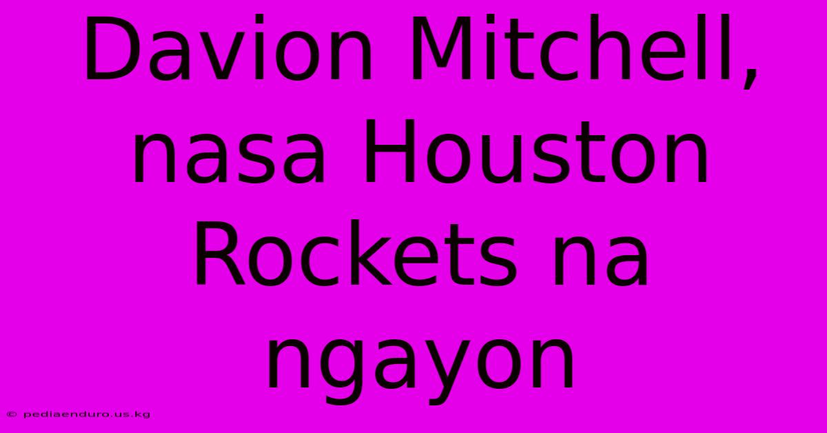 Davion Mitchell, Nasa Houston Rockets Na Ngayon