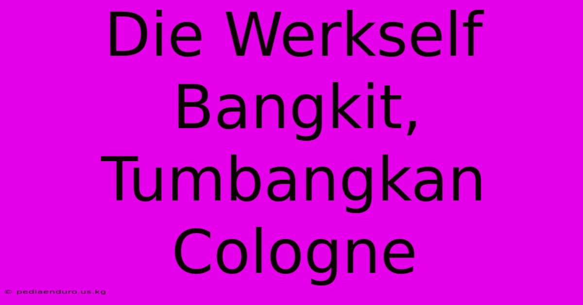 Die Werkself Bangkit, Tumbangkan Cologne