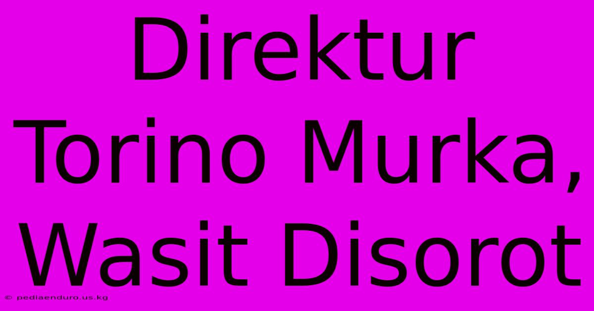 Direktur Torino Murka, Wasit Disorot