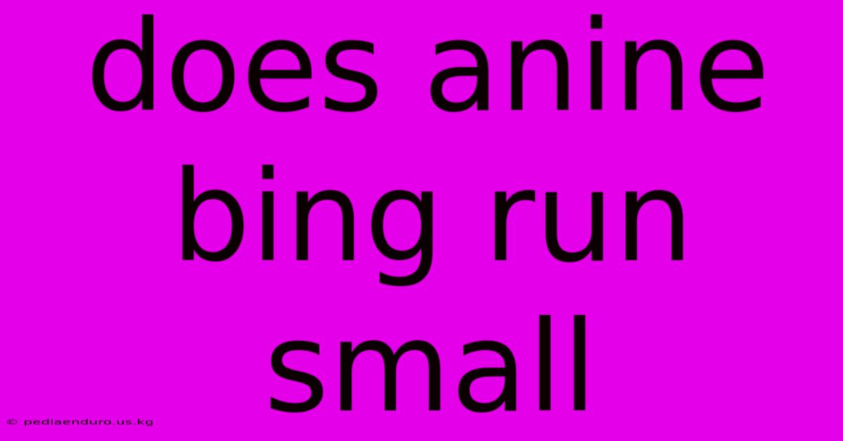 Does Anine Bing Run Small