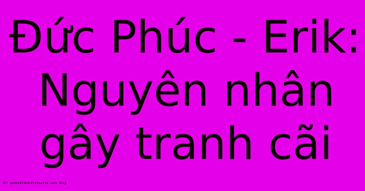 Đức Phúc - Erik: Nguyên Nhân Gây Tranh Cãi